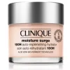 Clinique Moisture Surge 100H