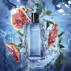 Davidoff Cool Water Man Summer