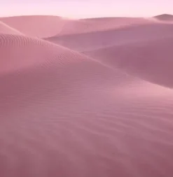 Estee Lauder Desert Eden Eau de Parfum