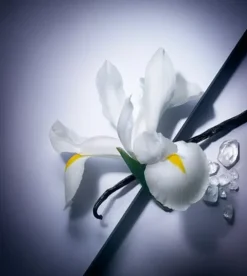 Lancôme La Vie Est Belle