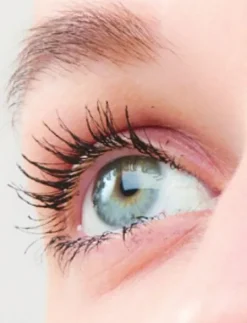 Sensai Lash Lengthener 38ºC