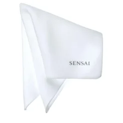 Sensai Sponge Chief Esponja