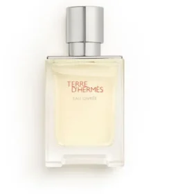 Terre D'Hermès Eau Givrée