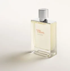 Terre D'Hermès Eau Givrée