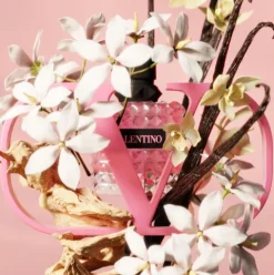 Valentino Donna Born In Roma