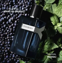 Yves Saint Laurent Y Men
